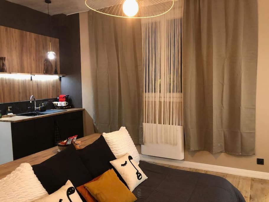 Le Tulum, T2, Hyper-Centre, Place Aux Herbes Mâcon 외부 사진